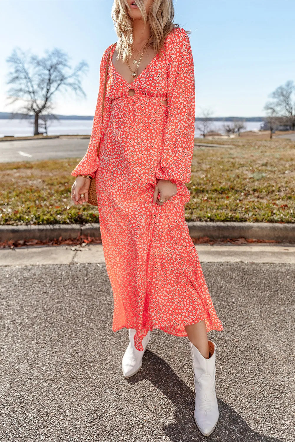 Printed V-Neck Long Sleeve Midi Dress